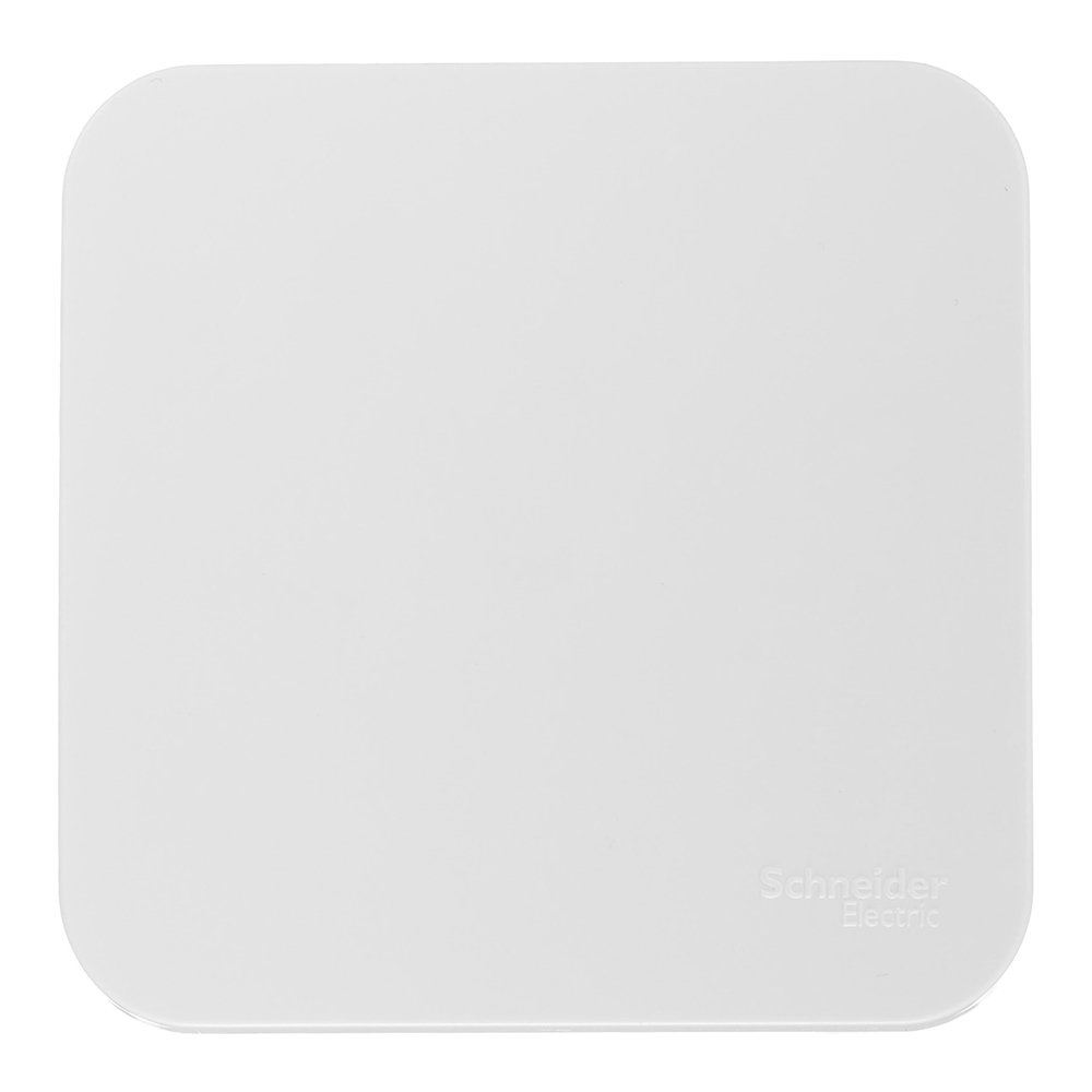 ���������� ������������� Systeme Electric Blanca ������������� ��������� ����� (BLNVA106011)  