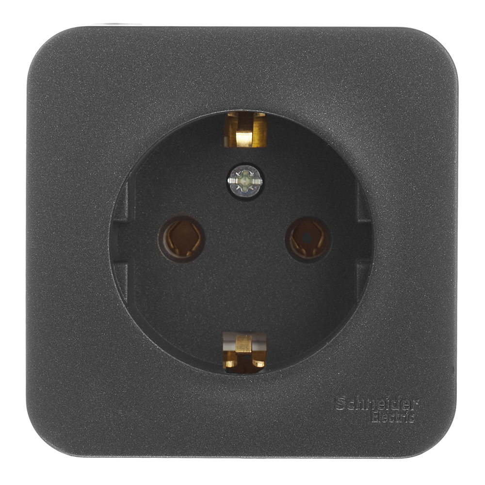 ���������� ������� Systeme Electric Blanca ��������� �������� (BLNRA010116)  