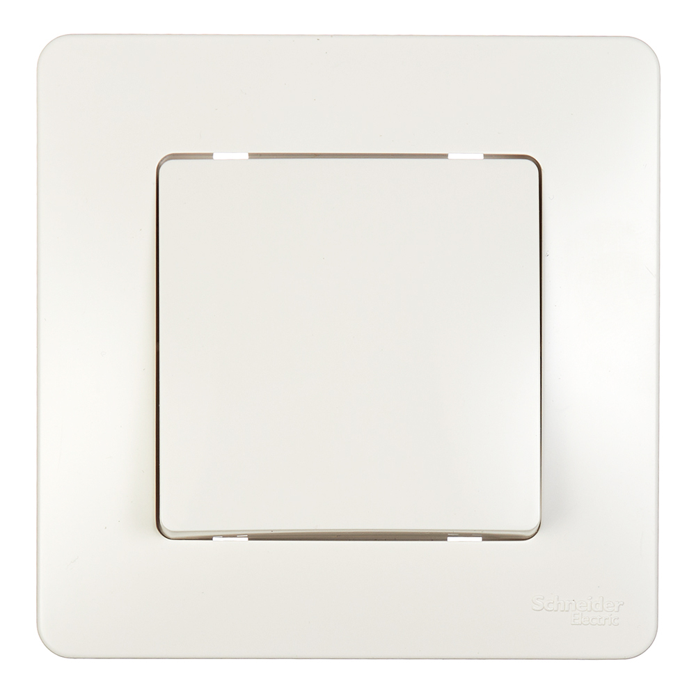 ���������� ����������� Systeme Electric Blanca ������������� ������������ �������� (BLNVS010102)  
