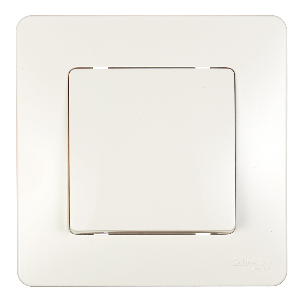 ���������� ������������� Systeme Electric Blanca ������������ �������� (BLNVS010602)  