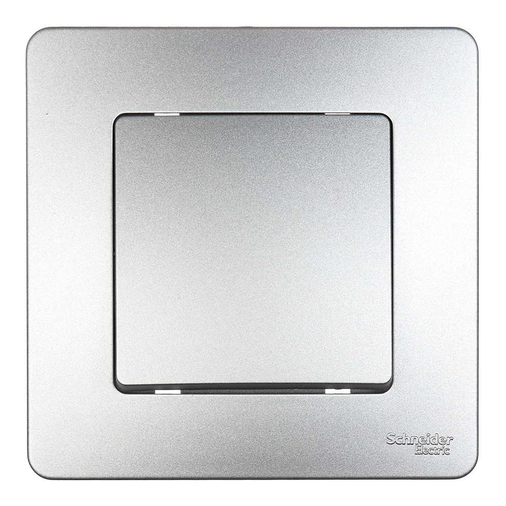 ���������� ������������� Systeme Electric Blanca ������������ �������� (BLNVS010603)  