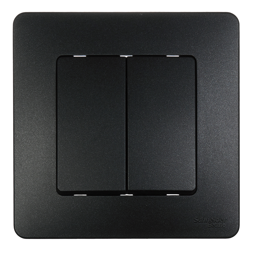 ���������� ������������� Systeme Electric Blanca ������������ �������� (BLNVS106606)  