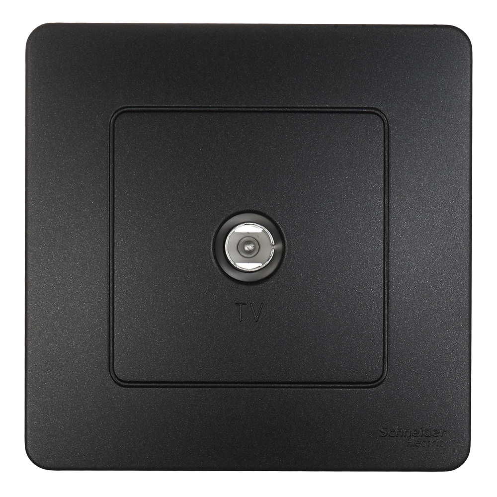 ���������� ������� ������������� Systeme Electric Blanca ������������ �������� (BLNTS000016)  