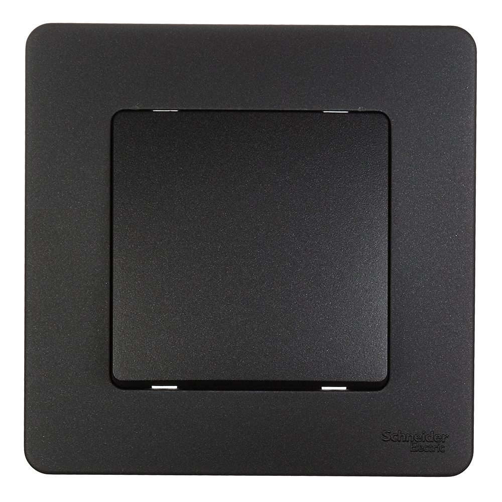 ���������� ������������� Systeme Electric Blanca ������������ �������� (BLNVS010606)  