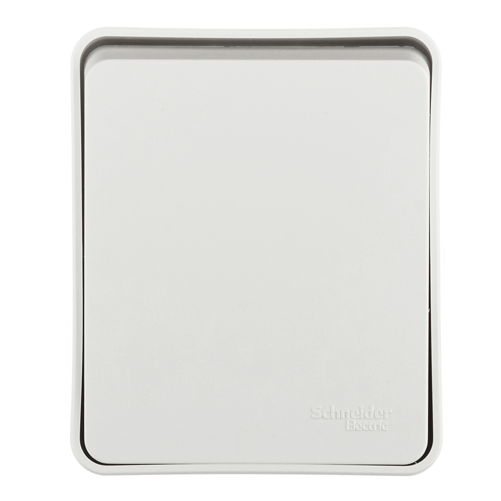 ���������� ����������� Systeme Electric AtlasDesign Profi54 ������������� ��������� ����� (ATN540115)  