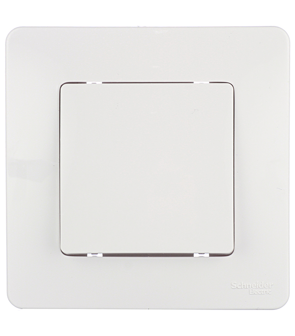 ���������� ����������� Systeme Electric Blanca ������������� ������������ ����� (BLNVS010101)  