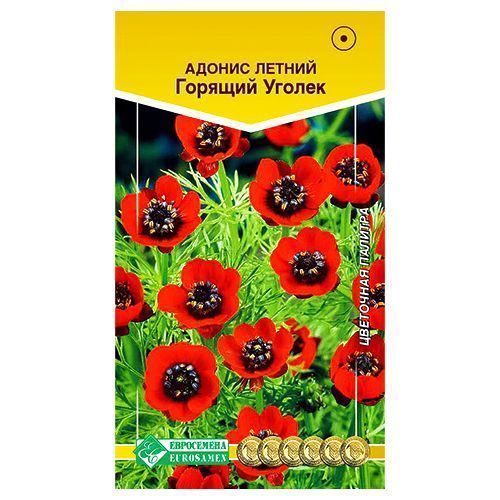 ���������� ������ ������� ������ ����������  