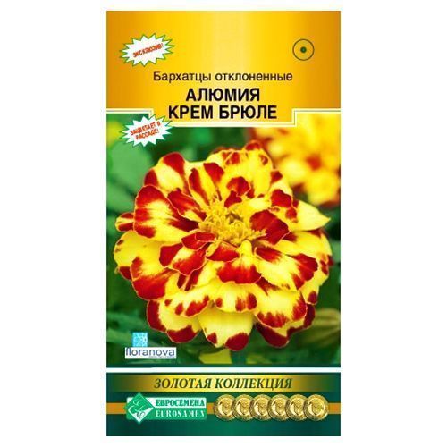 ���������� �������� ����������� ������ ���� ����� ����������  