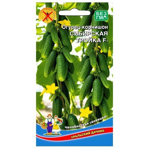 ���������� ������ �������� ��������� ������ F1 ��������� ������  