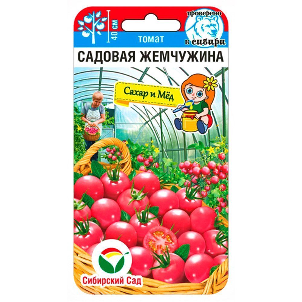 ���������� ����� ����� ������� ��������� ��������� ���  