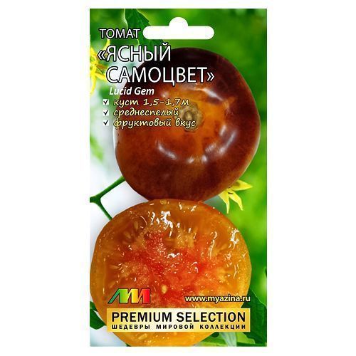 ���������� ����� ����� �������� ����������� ������ �.�.  