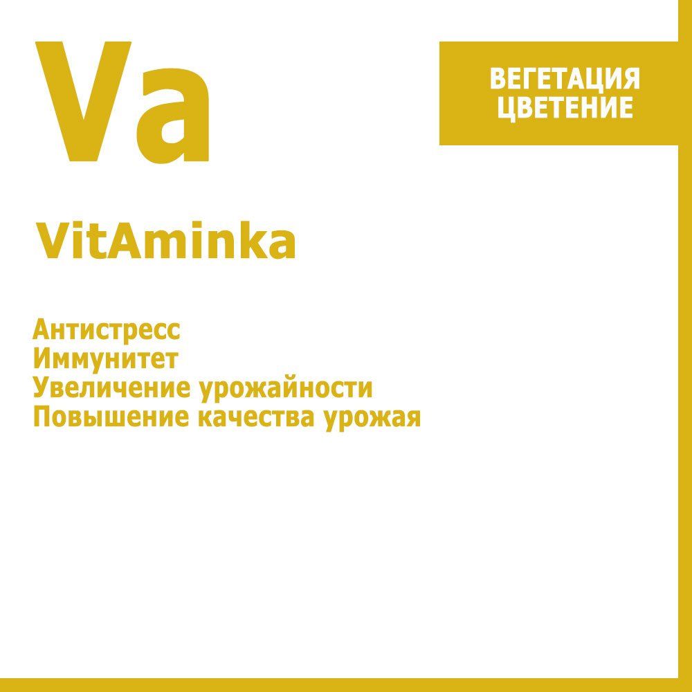 VitAminka, -  10     , -, 