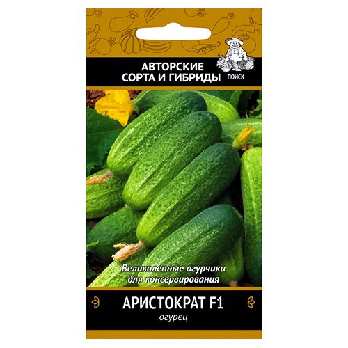 ���������� ������ ���������� F1 �����  