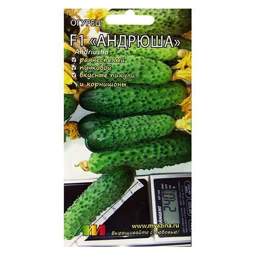 ���������� ������ ������� F1 ����������� ������ �.�.  