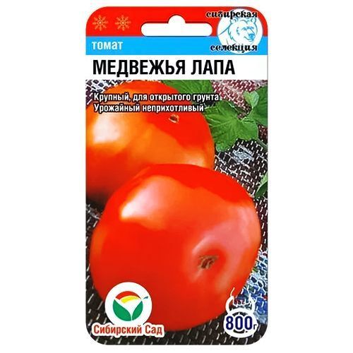 ���������� ����� �������� ���� ��������� ���  