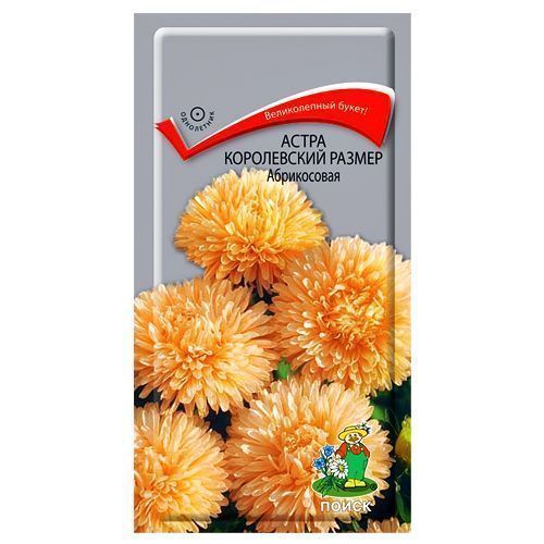 ���������� ����� ����������� ������ ����������� �����  