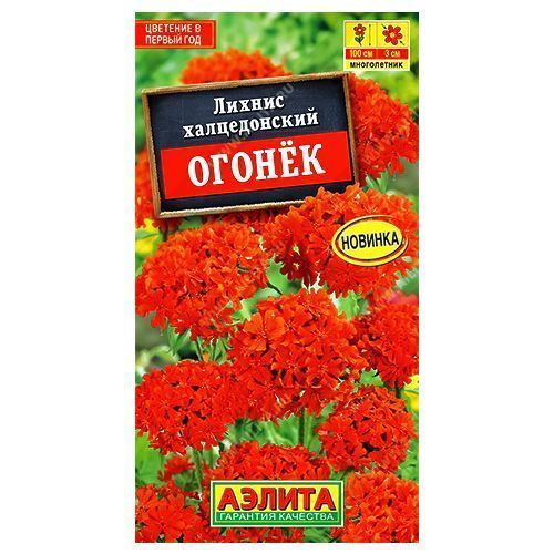 ���������� ������ ������ ������  