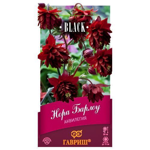 ���������� ��������� ���� ������ ������  