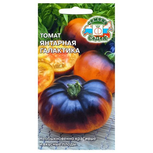 ���������� ����� �������� ��������� �����  