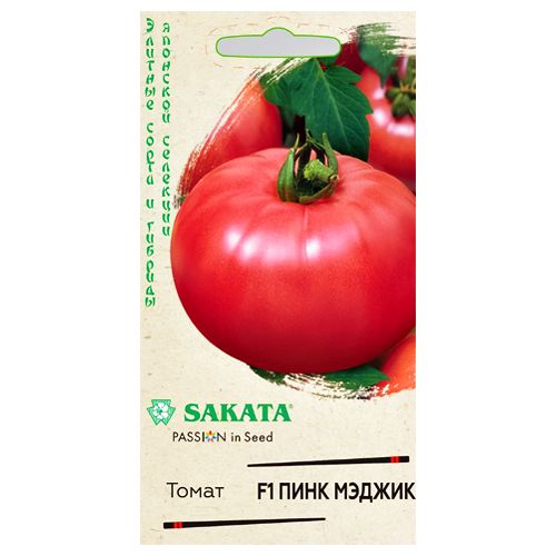 ���������� ����� ���� ������ F1 ������  