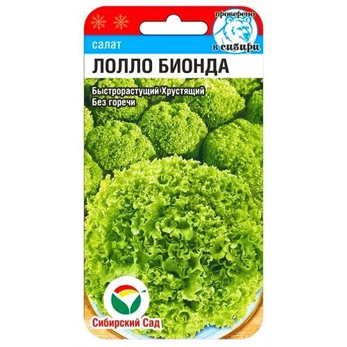 ���������� ����� ����� ������ ��������� ���  