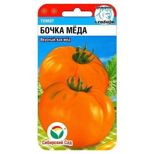 ���������� ����� ����� ���� ��������� ���  