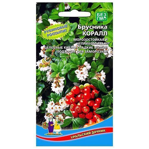 ���������� �������� ������ ��������� ������  