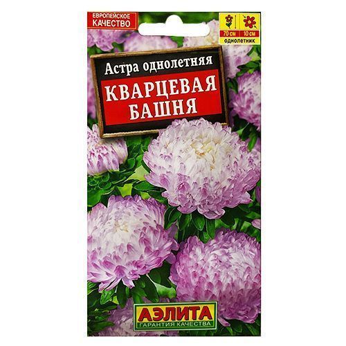 ���������� ����� ����������� ��������� ����� ������  