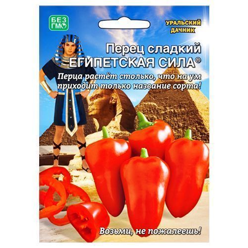 ���������� ����� ������� ���������� ���� ��������� ������  