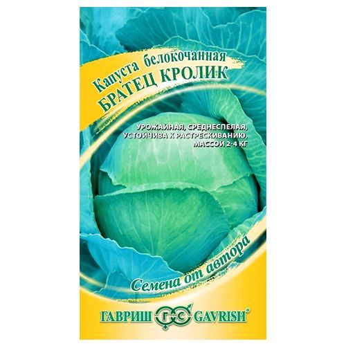 ���������� ������� ������������ ������ ������ ������  