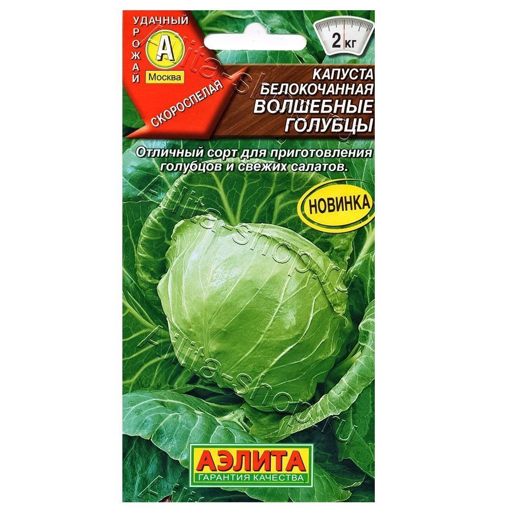 ���������� ������� ������������ ��������� ������� ������  