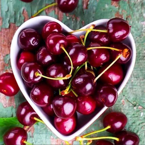 ���������� ������� ����� ������  