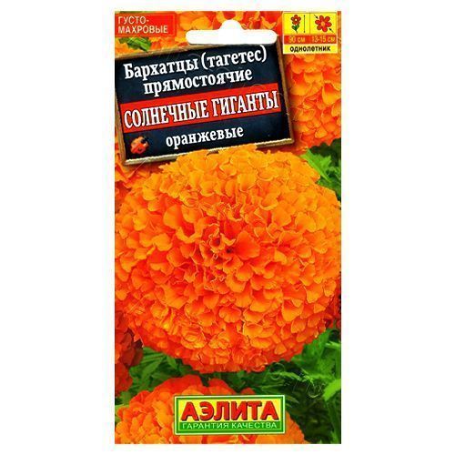 ���������� �������� ������������ ��������� ������� ��������� ������  