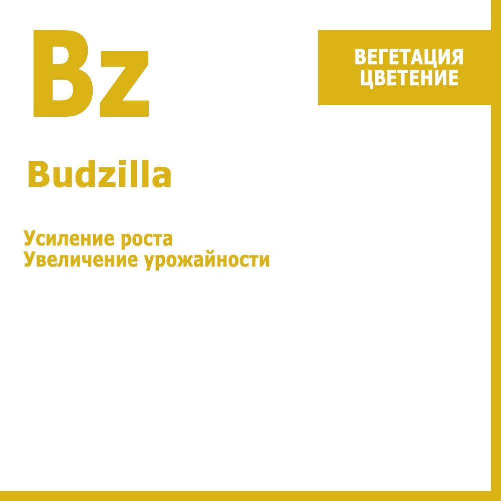 Budzilla,    250     , -, 