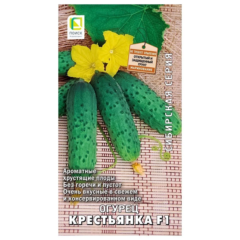 ���������� ������ ���������� F1 �����  