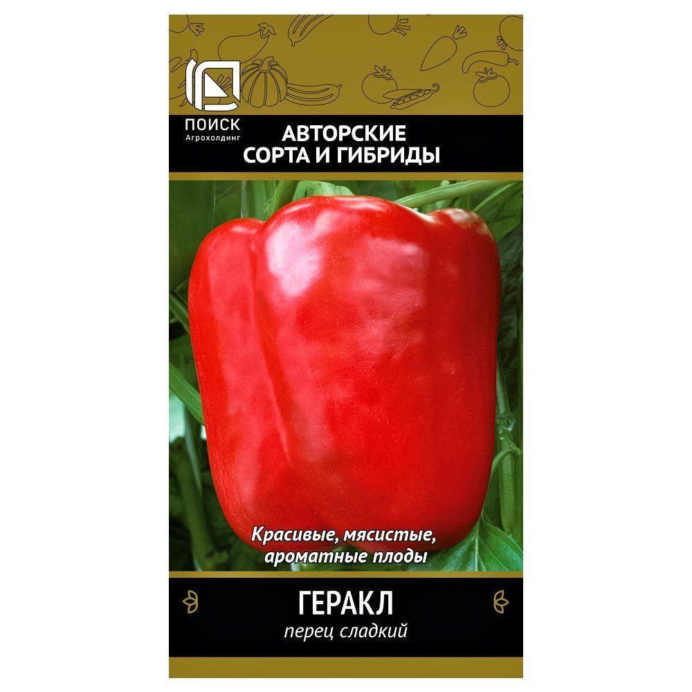 ���������� ����� ������� ������ �����  