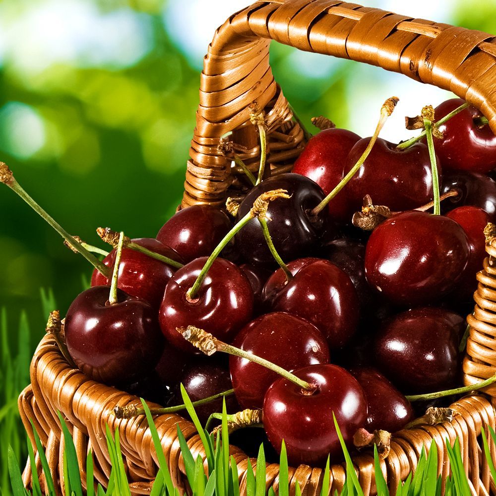 ���������� ����� ������������� ��������  