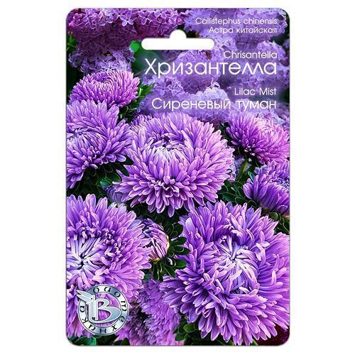 ���������� ����� ��������� ����������� ��������� ����� ����������  