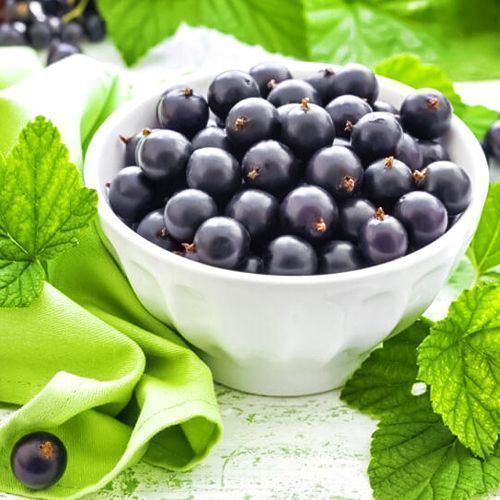 ���������� ��������� ������ ������ ���������  