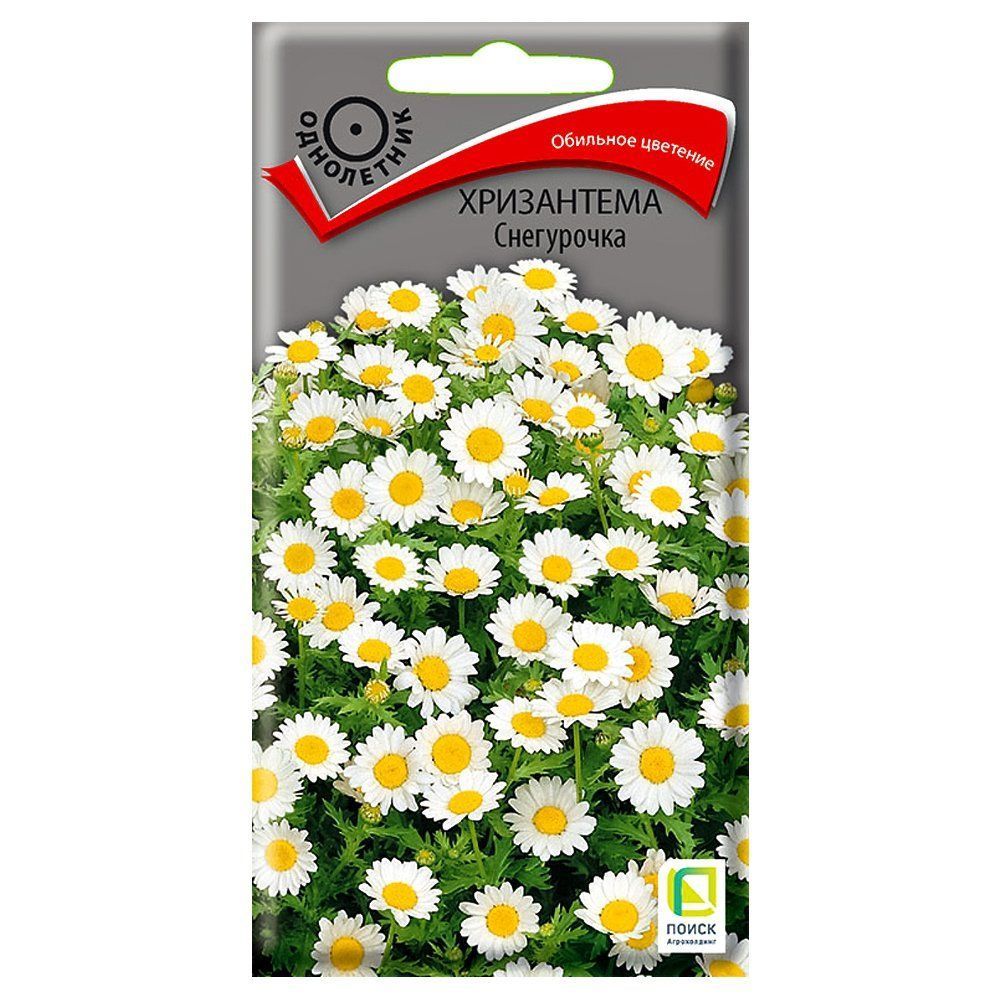 ���������� ���������� ���������� �����  