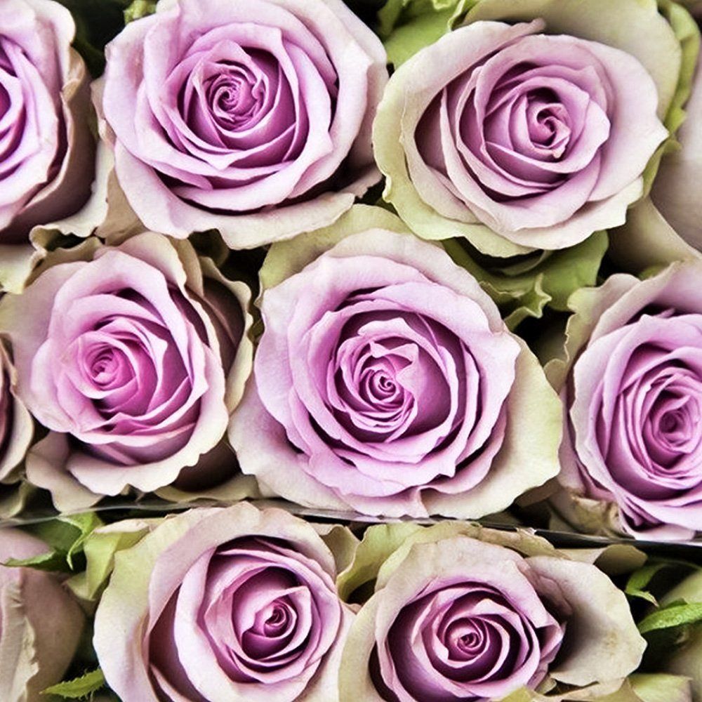 ���������� ���� �����-��������� ������� ������� ������  