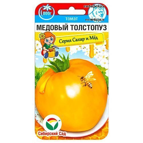 ���������� ����� ������� ��������� ��������� ���  