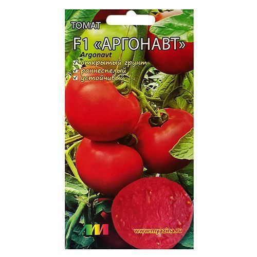 ���������� ����� �������� F1 ����������� ������ �.�.  