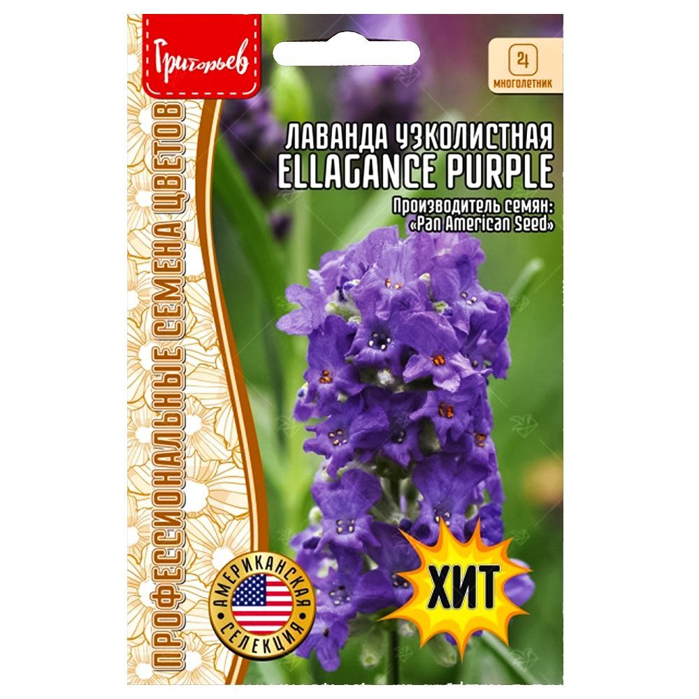   Ellagance Purple      , -, 