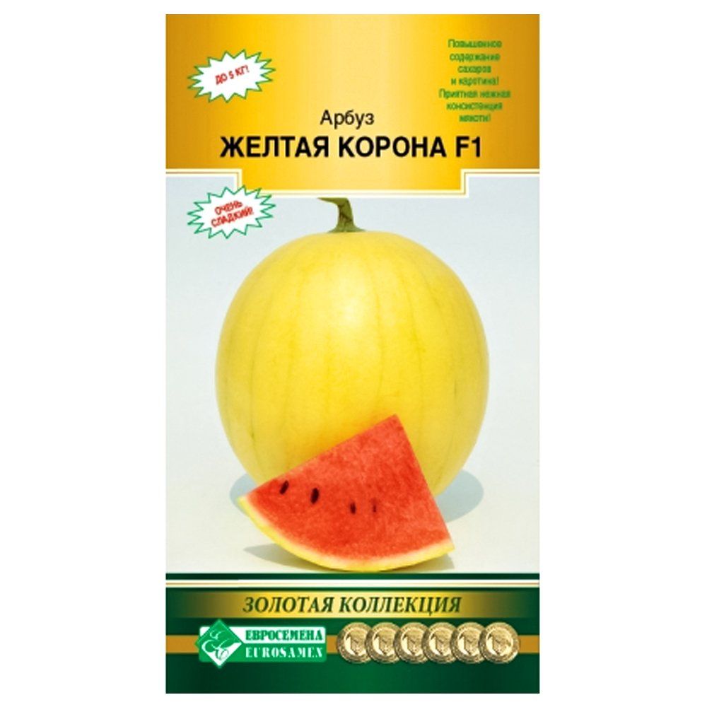 ���������� ����� ������ ������ F1 ����������  