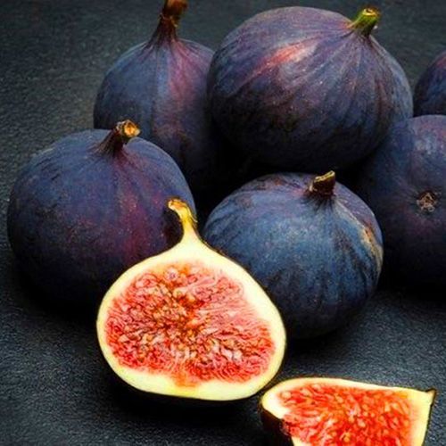 ���������� ����� ������ �����  