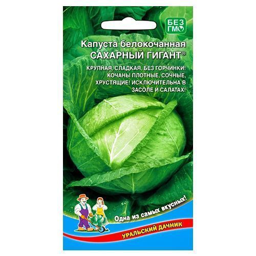 ���������� ������� ������������ �������� ������ ��������� ������  