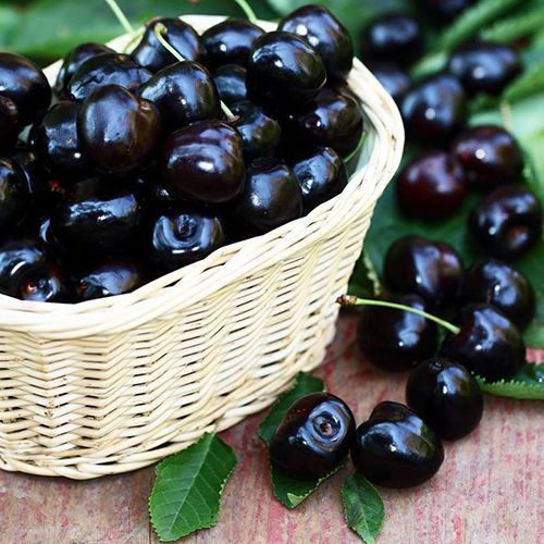 ���������� ������� ������ �����  