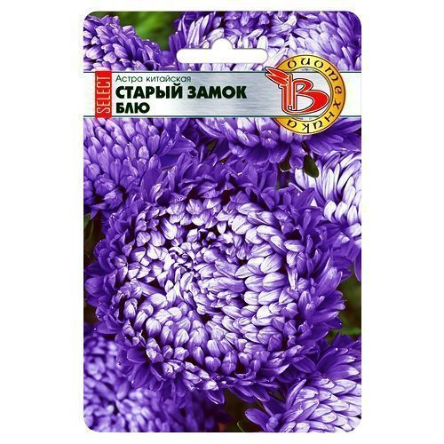 ���������� ����� ��������� ������ ����� ������ ��� ����������  