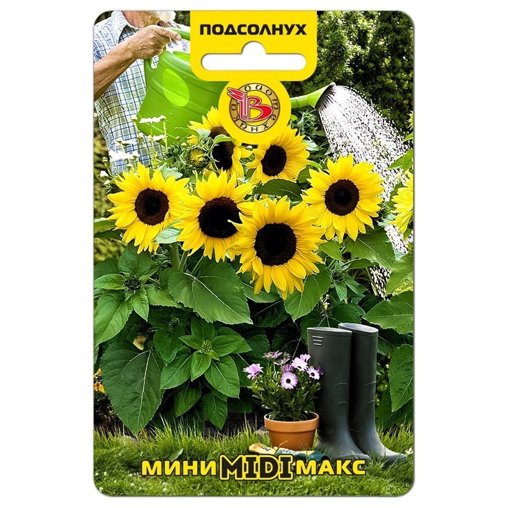 ���������� ��������� ��������� ����-���� �idi F1 ����������  